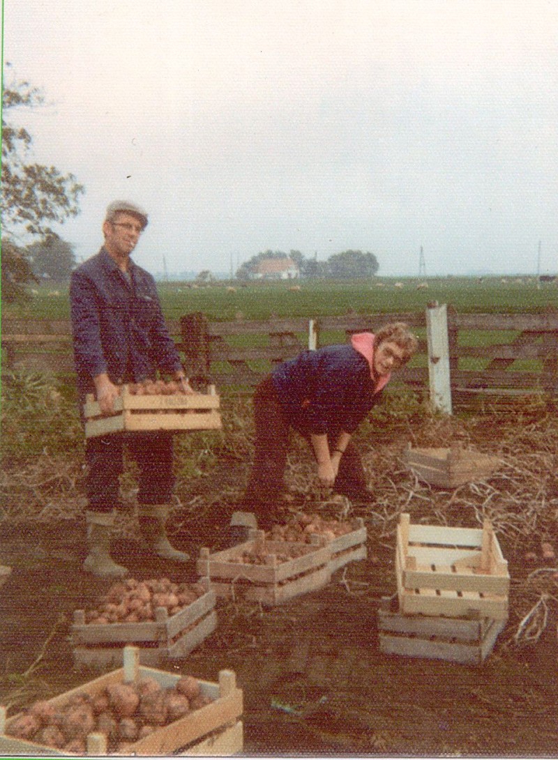 1978-Jaap-en-Baukje-aardappelrooien