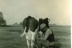 1949-Jaap-Hallema-aan-het-handmelken