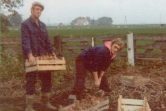 1978-Jaap-en-Baukje-aardappelrooien